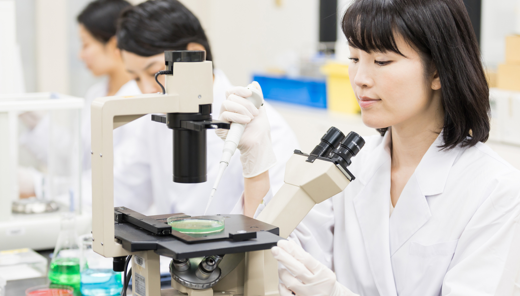 未来の食品科学を担う大学院生を応援します